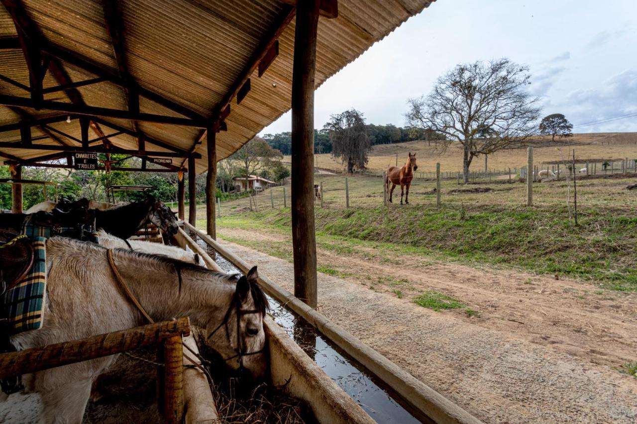 Hotel Fazenda Colina Dos Sonhos Socorro  Luaran gambar