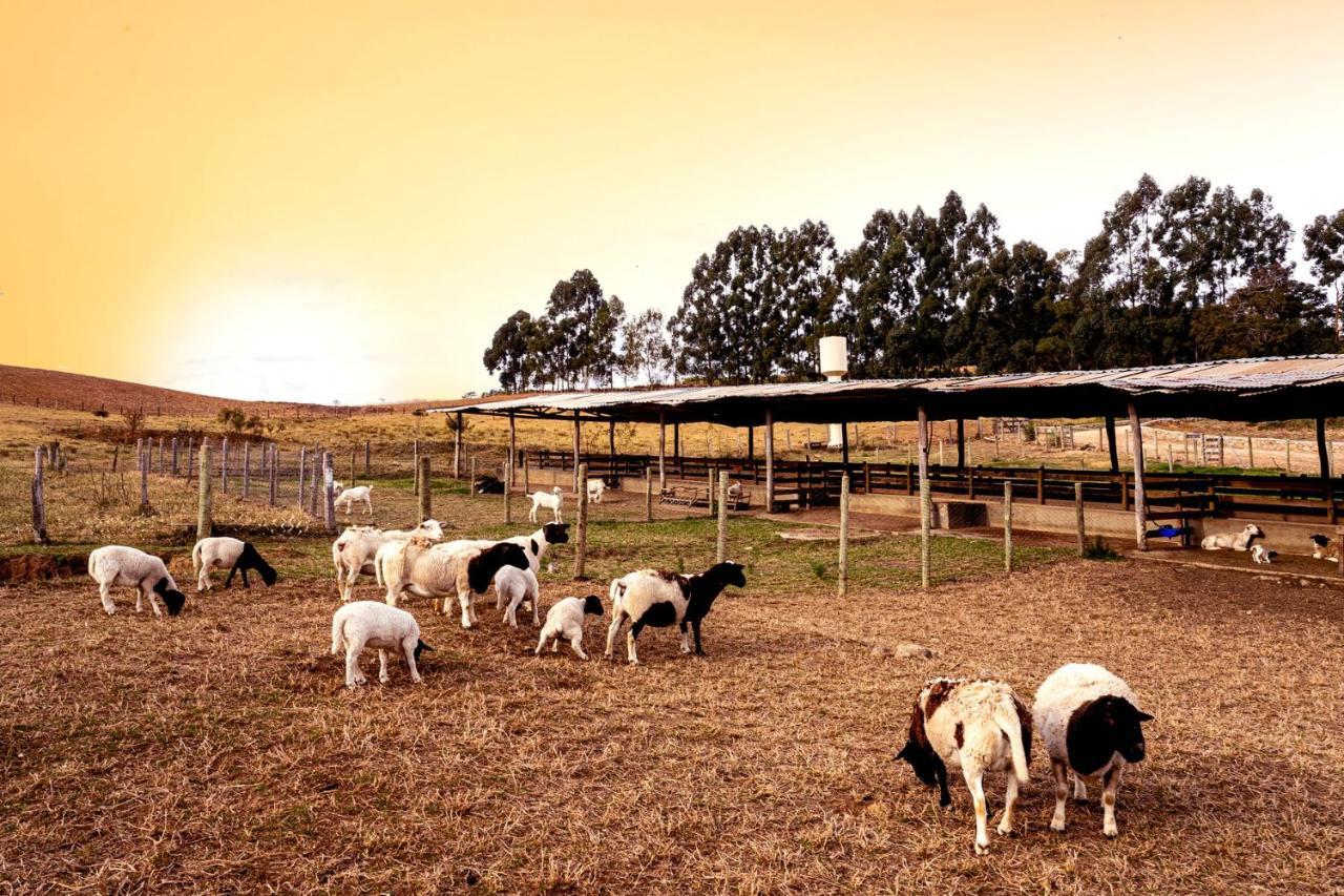 Hotel Fazenda Colina Dos Sonhos Socorro  Luaran gambar