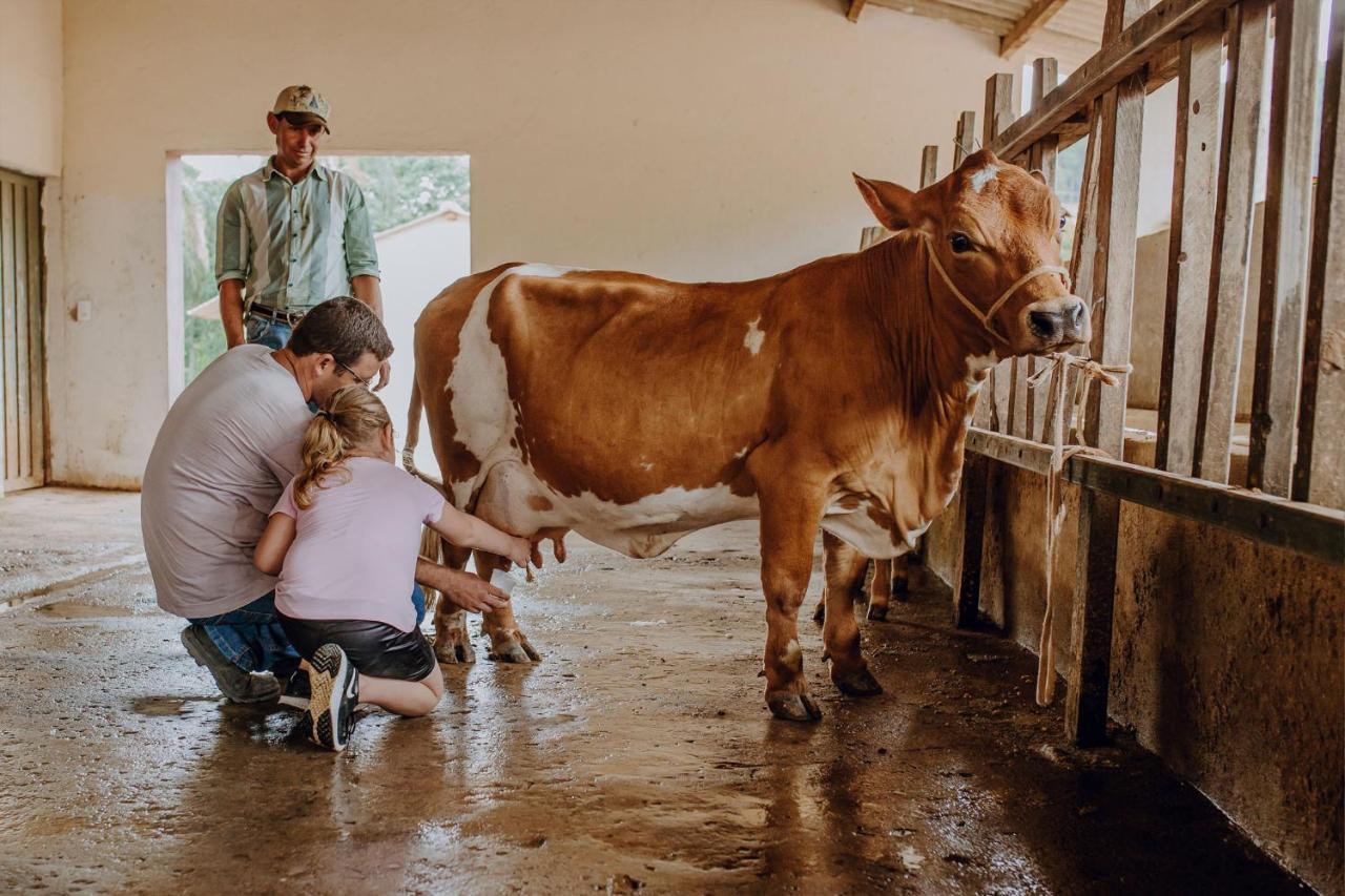 Hotel Fazenda Colina Dos Sonhos Socorro  Luaran gambar